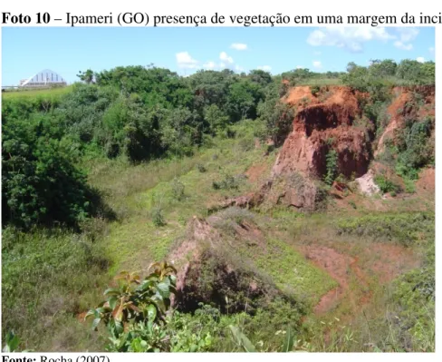 Foto 10 – Ipameri (GO) presença de vegetação em uma margem da incisão. 