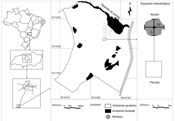 Figura  1.  Localização  da  área  de  estudo  no  cerrado  sentido  restrito  da  Estação  Ecológica  do  Panga  e  esquema  metodológico  de  coleta  de  dados