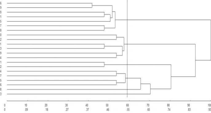 Figure 5 shows the dendrogram produced by  the mean Euclidean distance UPGMA method,  involving 52 beehives and 20 variables
