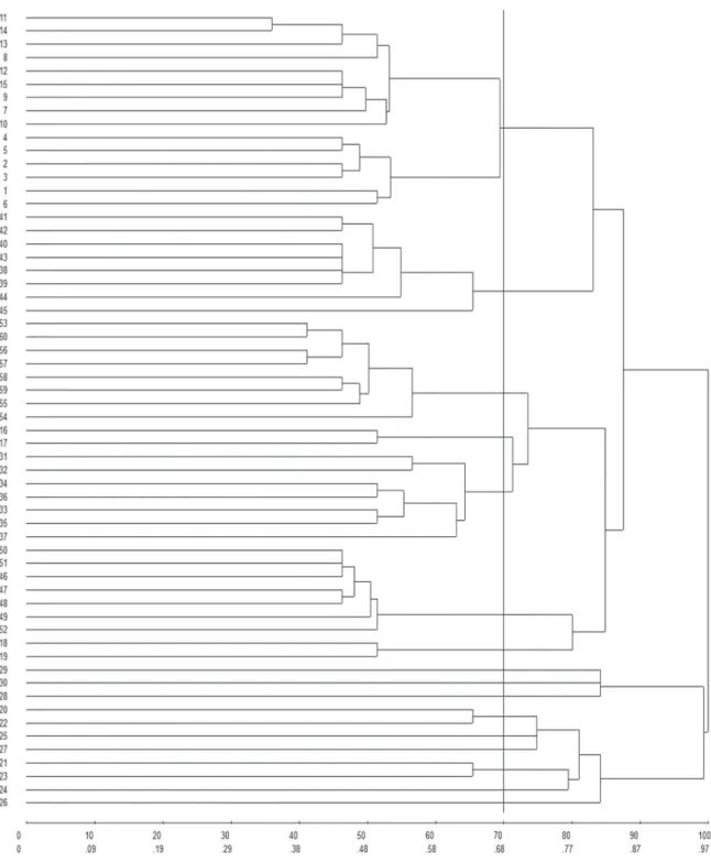 Figure 3 - Dendrogram obtained by cluster analysis using the mean Euclidean distance and the UPGMA method, for  measuring the output of the first collection of honey