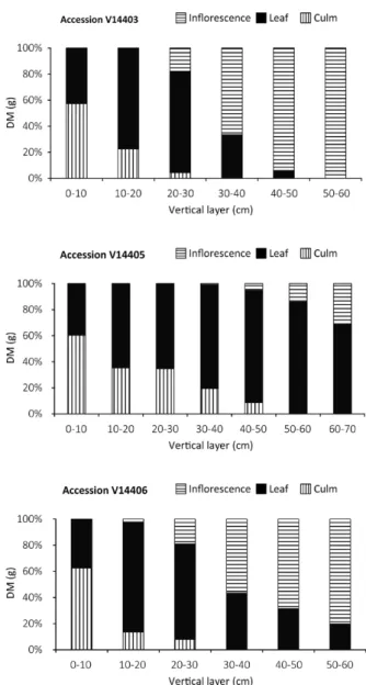 Figure 3 - Vertical distribution of culm, leaf and inflorescence  of the V14337 e V14404 accessions of A