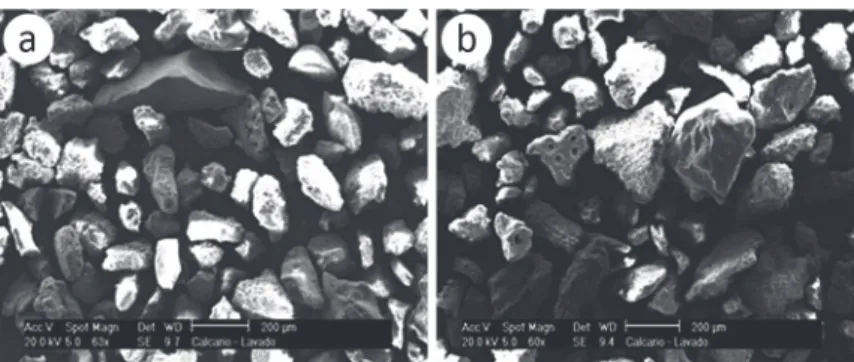 Fig. 4 -  SEM micrographs of the granite powder particles: magnification of (a, b)  180 times.