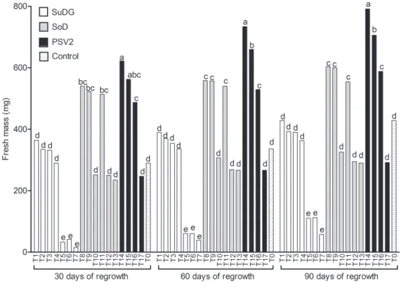 Figure 1 - Fresh mass of the A. angustifolia embryogenic cultures after 30, 60 and 90 days of re-growth in BM medium  treated with SuDG, SoD and PVS2 cryoprotectant solutions