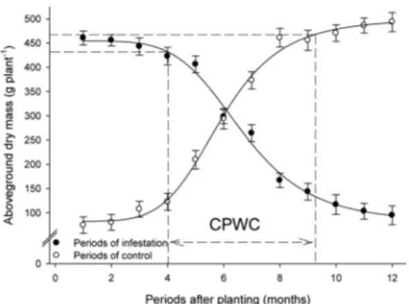 Figure  2  -  Aboveground dry mass 12 months after planting  of  Hevea brasiliensis submitted to crescent periods of weed  infestation or weed control