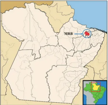Figure 1 - Metropolitan Region of Belém (MRB) location within the  state of Pará. At the bottom right the location of this state on the map  of Brazil