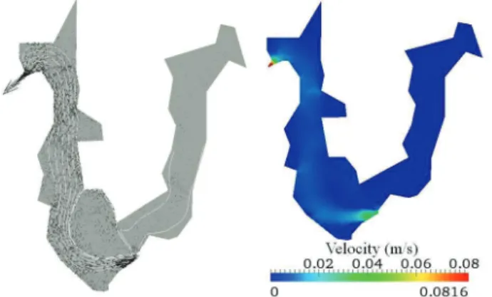 Figure 7  - Velocity field generated by Hydrosim hydrodynamic  simulator, to the left, and its module.