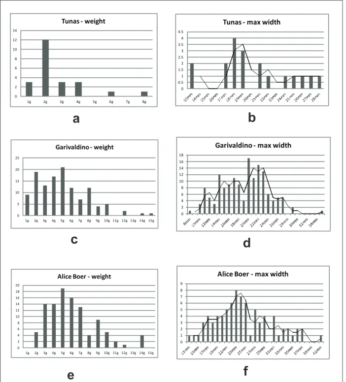 Figure 5 - Weight and maximum width distribution observed in the sample of points from Tunas (respectively, a and b),  Garivaldino (c and d), and Alice Boer (e and f).