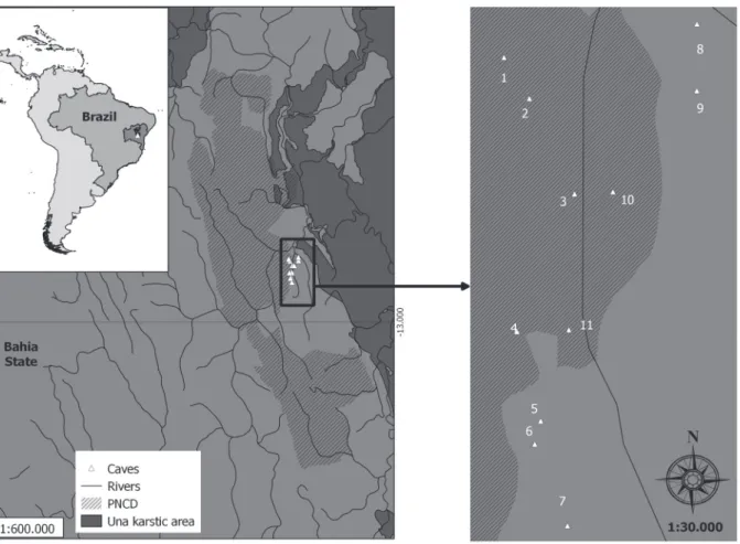 Figure 1 - Studied caves in the Chapada Diamantina region, state of Bahia. 1-Cantinho cave; 2-Criminoso cave; 3-Torras  System; 4-Canal da Fumaça cave; 5-Rio dos Pombos cave; 6-Ressurgência do Morro de Alvo cave; 7-Morro de Alvo cave; 