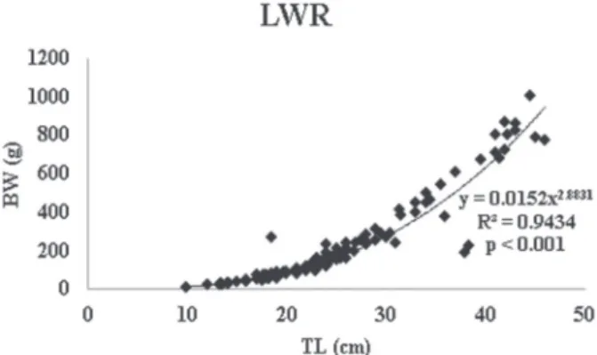 Figure 2 - Length-weight relationship of H. francisci from  Itapecerica River with p &lt; 0.001.