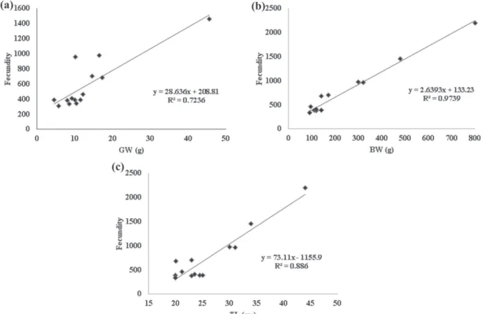 Figure 7 - Frequency of oocytes diameter classes (mm) in  spawning capable ovaries of H