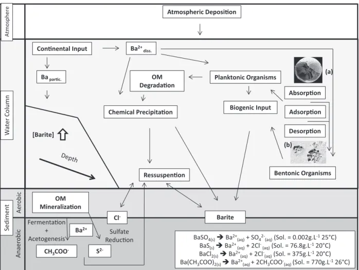 Figure 1 - Barite formation mechanisms along the water column {Adapted from Monnin et al