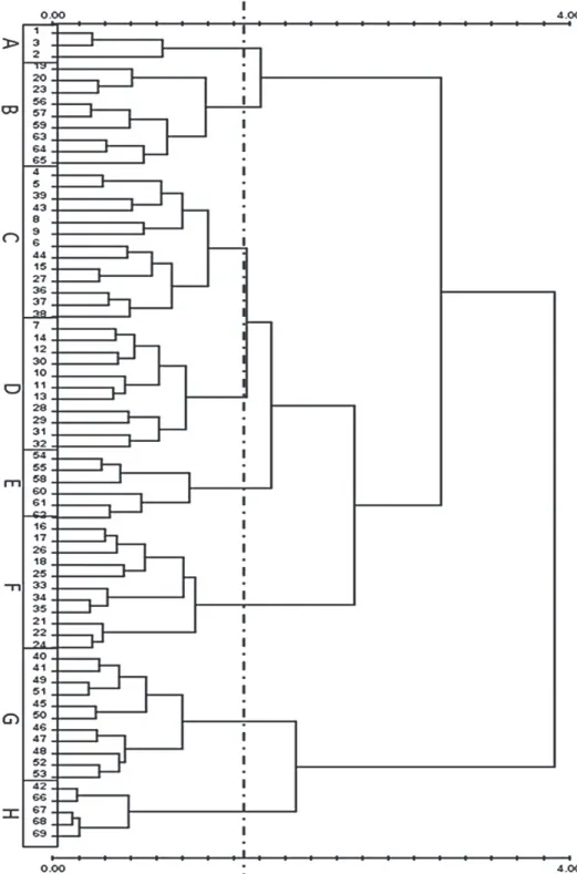 Figure 2 - Data matrix dendrogram with the different groups.