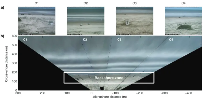 Figure 3 -  a ) Example timex products from each Argus camera (C1, C2, C3, and C4) at Cassino Beach;  b ) Rectified and merged timex  images from the four cameras shown in (a)