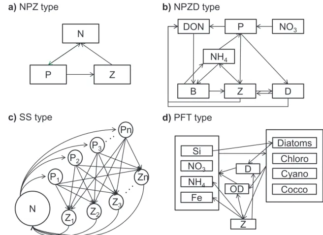 Figure 1 - Types of planktonic trophic models in order of increasing complexity. a) NPZ model; b) NPZD model by Fasham et al