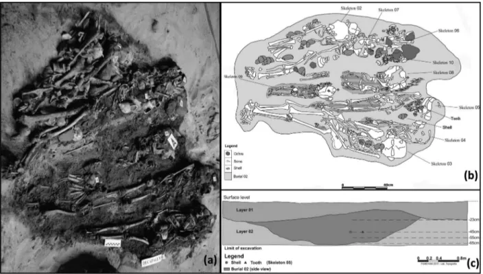 Figure 1 - (a) Photograph of the collective sepulcher (Burial 2) with many skeletons and shells found during excavation at Toca  do Enoque, located in Serra das Confusões National Park (Brazil)