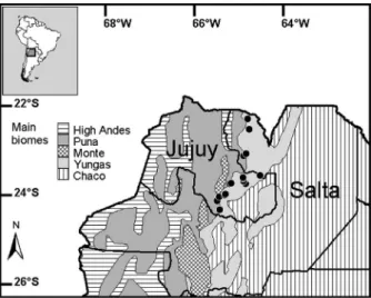 Figure 1 - Map of Northwestern Argentina showing the  occurrence records of Akodon budini taken from the specimens  housed at the Colección Mamíferos Lillo (see Materials and  Methods).