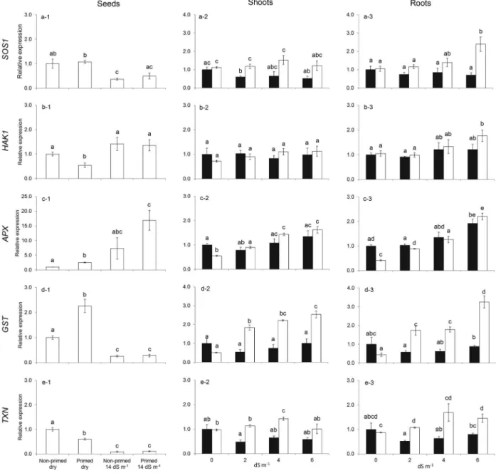 Figure 3 - Relative expression of SOS1 (a),  HAK1 (b), APX (c), GST (d) and TXN (e) in non-primed and primed seeds, and in  shoots and roots of seedlings derived from non-primed and primed seeds submitted to saline stress