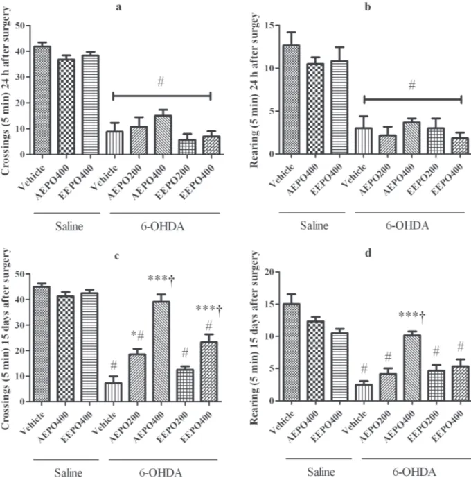 Figure 2 - Results from the open field test: Means of crossings (a and c) and rearing (b and d) at 24 h and 15 days after surgery,  respectively