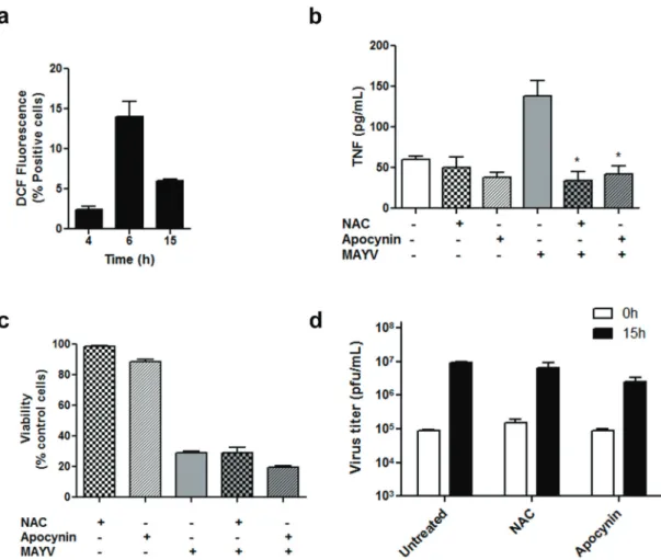 Figure 5 - ROS production during MAYV infection and its effects on cytokine production, cell viability and virus  replication