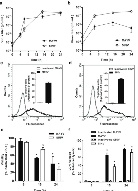 Figure 1 - Characterization of MAYV and SINV replication in macrophages cell lineages