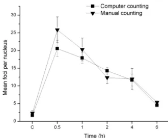 Figure 1 - Mean number of γH2AX foci per HTB140 cell  nucleus, counted by computer software (full square) or  manually (full triangle), as a function of time elapsed after  irradiation with 2 Gy  γ -rays (C-control)