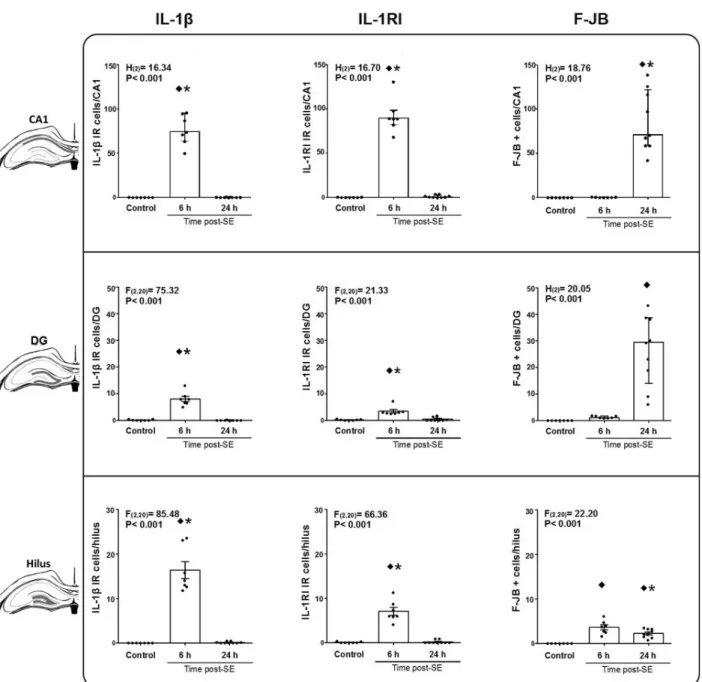 Figure 2 - Interleukine-1β (IL-1β), type 1 IL-1 receptor (IL-1RI) and Fluoro-Jade B (F-JB) positive cells detected in the CA1  pyramidal layer, dentate gyrus (DG) granule cell layer and hilus from dorsal hippocampus 6 h and 24 h after status epilepticus (S