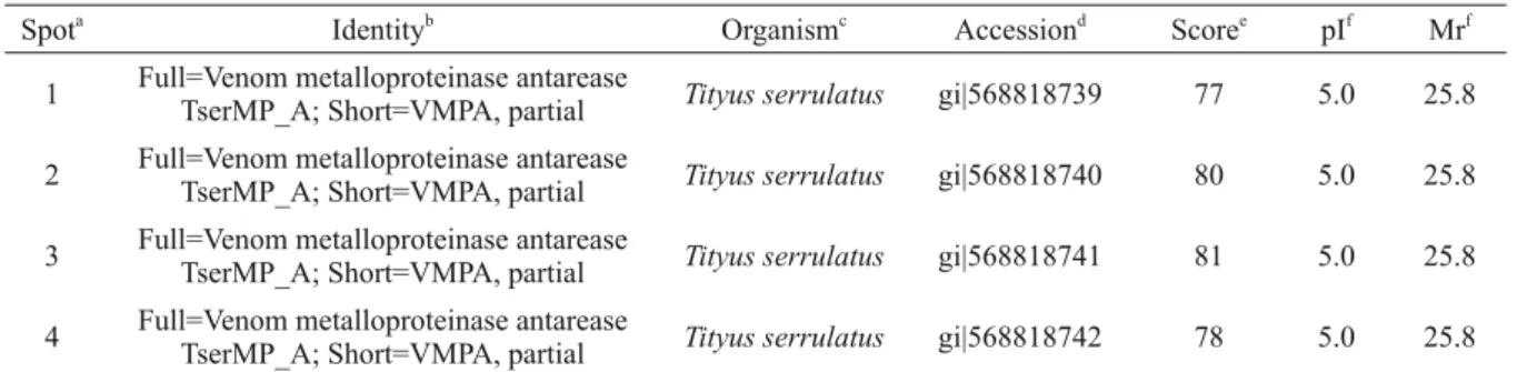 Figure 1 - Proteome pro ﬁ  le of Tityus stigmurus venom (TsV) on 2D-PAGE.
