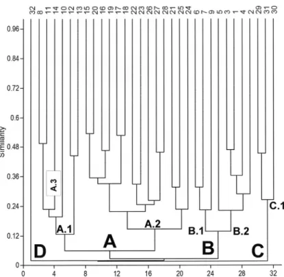 Figure 1 - Dendrogram with the studied phytosociological classes and their  alliances
