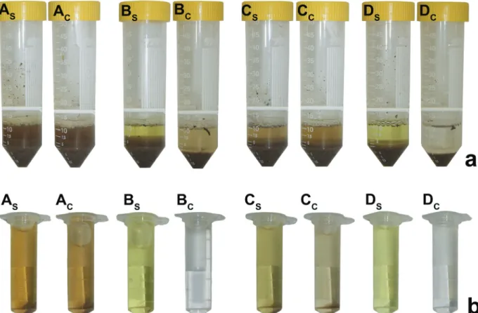 Figure 1 - Interference MUB and low MUB in the staining of control (without) samples and substrate samples in the enzyme  extract before (a) and after centrifugation (b)