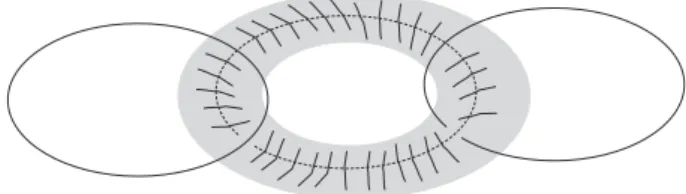 Figure 2 - A dicritical component of F e .