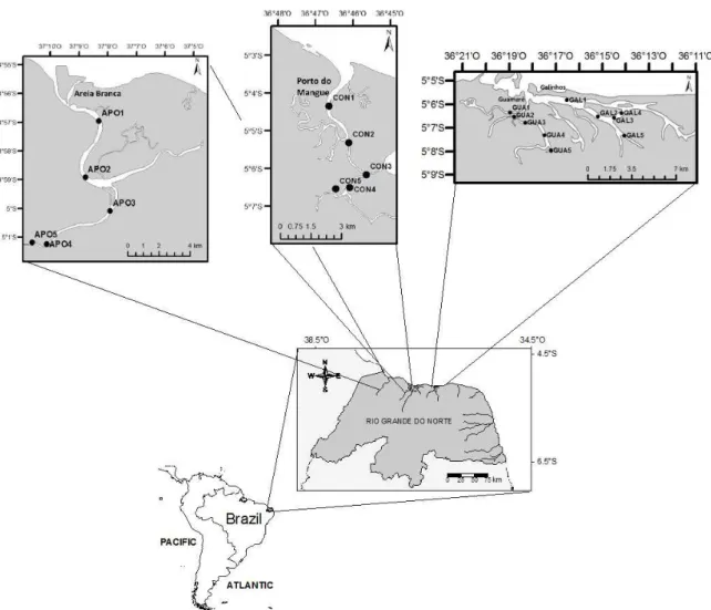 Figure 1 - Study Area (APO – Apodi sampling station / CON – Conchas sampling station / GUA - Guamaré sampling  station / GAL – Galinhos sampling stations).
