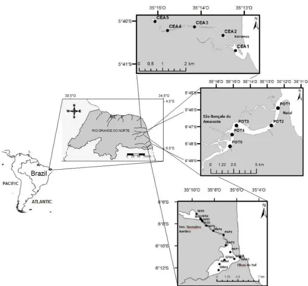 Figure 2 - Study area ( CEA - Ceara Mirim sampling stations / POT - Potengi sampling stations / NIS – Nísia-Floresta  sampling stations / PAP – Papeba sampling stations / GRA – Guaraíra sampling stations.