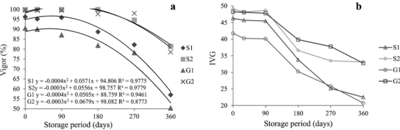 Figure 3 - Signi ﬁ  cant regression model to vigor by accelerated aging test of 24 hours (a), and germination velocity index (b) of  beans seeds and grains, of BRS Splendor variety, during storage periods