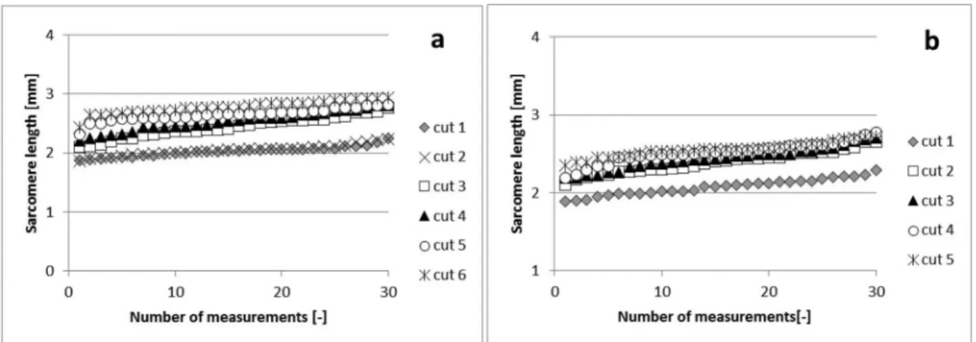 Figure 1 - (a). Sarcomere length values [ μ m] for the analyzed 6 cuts of Polish Landrace breed animals, (b)