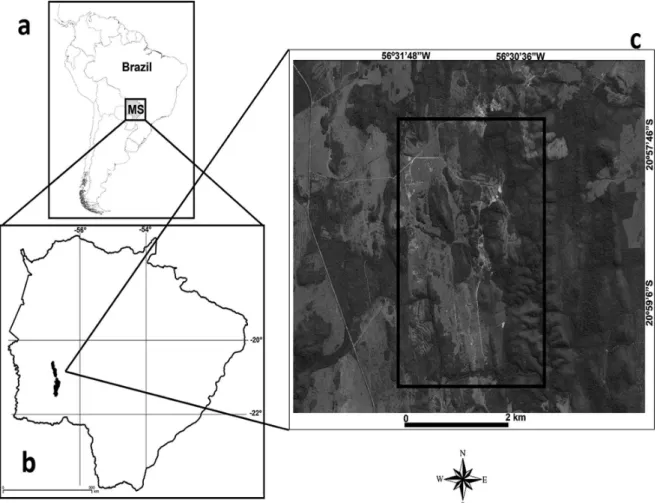 Figure 1 - Localization of Bodoquena Mountains and the study area (black rectangle), Bonito municipallity, state of Mato  Grosso do Sul (MS), Brazil.