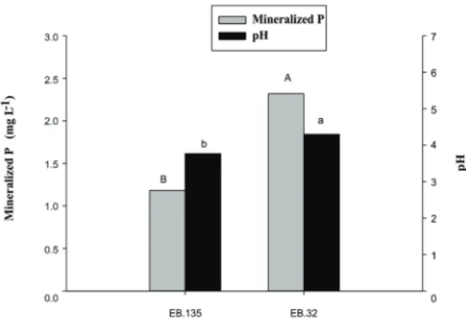 Figure 5 - Acid phosphatase detection zones. (a) Solubilization  zone classified as ++, (b) solubilization zone classified as +,  and (c) an isolate negative for acid phosphatase activity