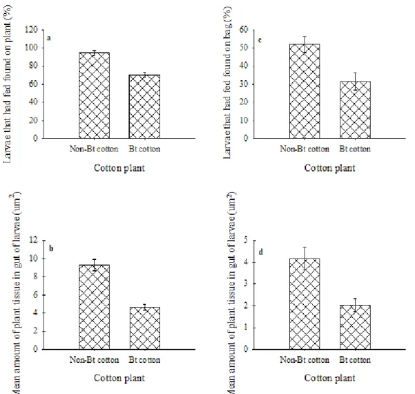 Figure 2 - a : Mean percentage of larvae that had fed that were found on the cotton plant (Bt or non-Bt) (F =  8.64, df = 1, 117, P = 0.0040),  b : mean plant tissue amount found in the gut of neonate larvae of A