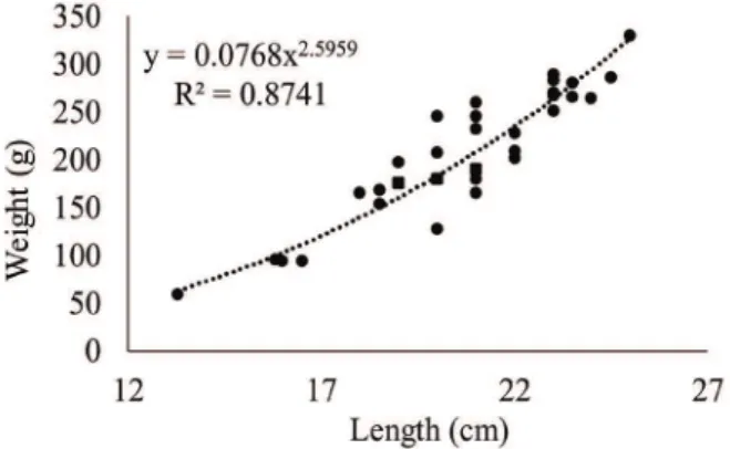 Figure 2 - Species richness of parasites in Astronotus ocellatus  from the Fortaleza Igarapé basin, in eastern Amazon (Brazil).
