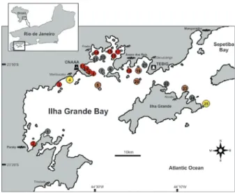 Figure 1 - Ilha Grande Bay and surrounding areas (Rio de  Janeiro State, Brazil), indicating the 25 sampling sites where  reefs of Petaloconchus varians occurred on intertidal rocky  shores, classified by the wave-exposure level (red circle = very  shelter