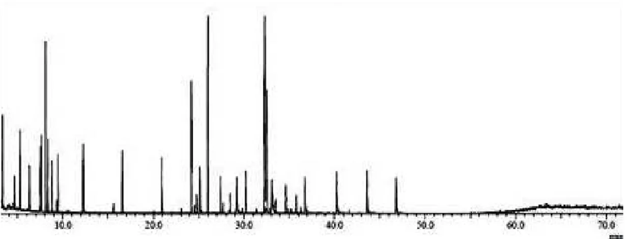 Figure 2 - GC-MS chromatogram of the essential oil from P. ovatum leaves.