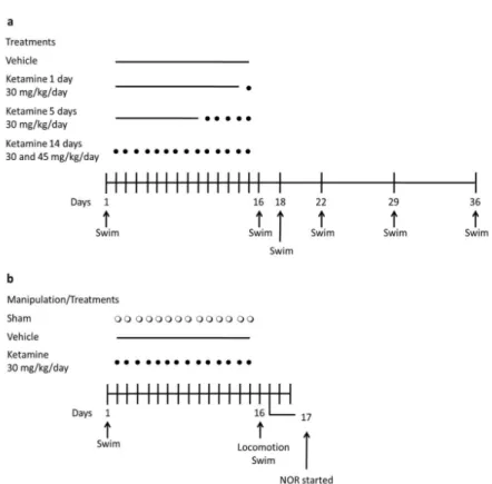 Figure 1 - Experimental schedules used in this work. a) Evaluation of the effect of  different doses and periods of treatment with ketamine on the immobility of animals  exposed to forced swim