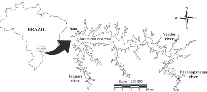 Figure 1 - The Jurumirim reservoir with the marked sampling site (stars), Upper Paranapanema River, São Paulo State, Brazil.