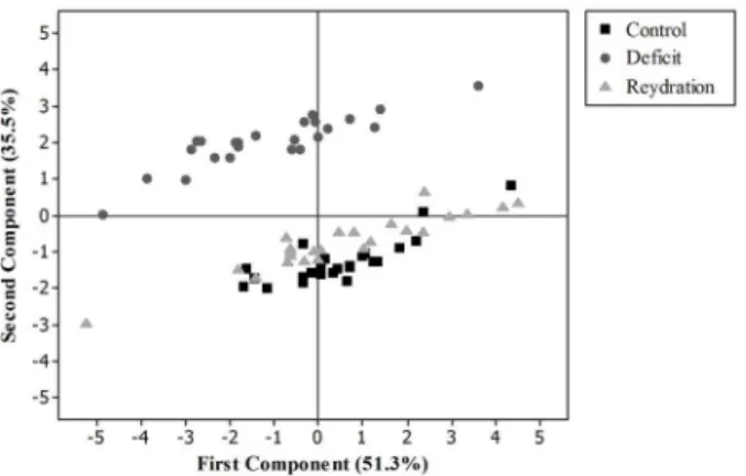 Figure 1 - Distribution of the evaluation periods of safflower  lines, according to first and second principal components,  irrigated (before water deficit), water deficit (for 30 days), and  rehydration (for 18 days).