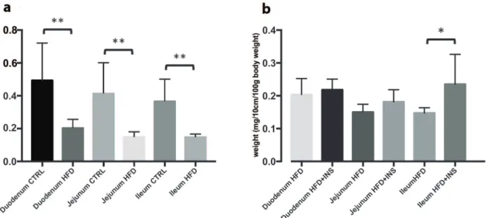 Figure 4 - a. Eff ect of diet in intestinal epithelium segments (10cm) weight (duodenum, jejunum and ileum)