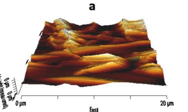 Figure 5 - AFM analysis of a) Pure Polyurethane b) PU/bio oil TM  composites.