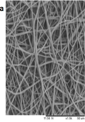 Figure 1 - SEM images of a) Pure Polyurethane b) Polyurethane/bio oil TM  composites c) Fiber diameter of PU d) Fiber diameter  of PU/bio oil TM  composites.