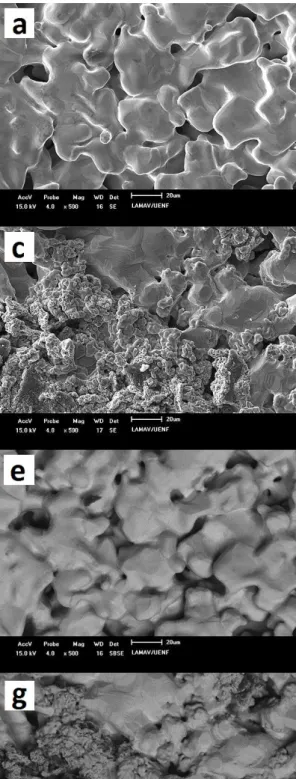 Figure 1 - SEM micrographs of the top surface of the sintered samples without metallographic treatment