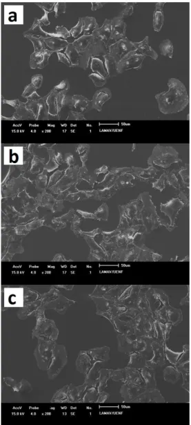 Figure 7 - Electron micrographs of Vero cells after  24 hours culture. Control group (a), in medium  with Ti (b) and Ti-2D (c), observed in 200x  magnification.