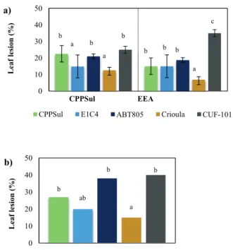 Figure 2 -  a) Alfalfa leaf damage in experimental field  trials 15 days after inoculation with Curvularia geniculata  at the CPPSUL and EEA fi eld sites; b) Alfalfa Leaf damage  growth chamber experiments 15 days after inoculation with  C