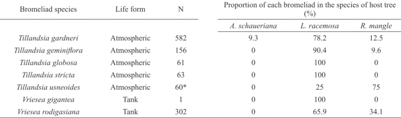 Figure 4 - Abundance of bromeliads (mean and standard  error in 25m²) in each host tree species recorded in Itapanhaú  mangrove.